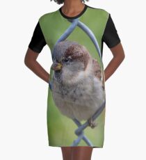 Mei Spatzl #2 - Sparrow | Roosevelt Island, New York Graphic T-Shirt Dress