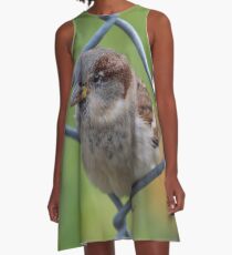 Mei Spatzl #2 - Sparrow | Roosevelt Island, New York A-Line Dress
