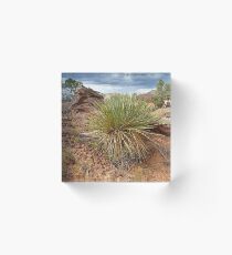 Desert of Beauty Acrylic Block