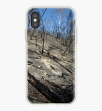 Inheritance iPhone Case