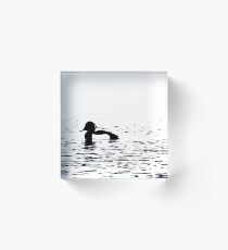 Stylized Tufted Duck artwork Waterbird Collection Acrylic Block