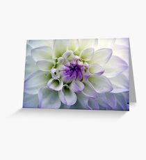 Freshness Greeting Card
