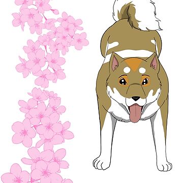 Shiro the Shikoku-Ken with Cherry Blossoms | Art Print