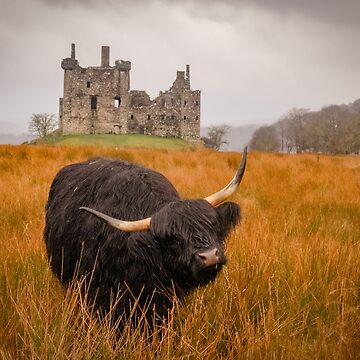 Artwork thumbnail, Kilchurn Castle being guarded by a highland cow! by Hike-and-Click