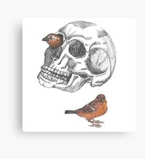 Skull With Sparrows Canvas Print