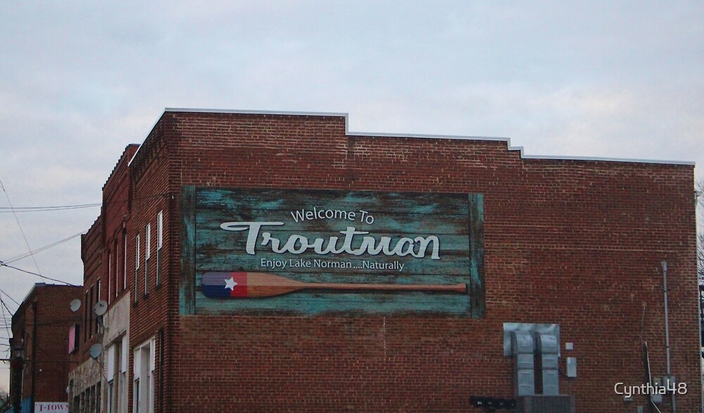 "Troutman North Carolina" by Cynthia48 Redbubble