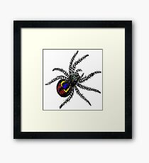 Spider Framed Print