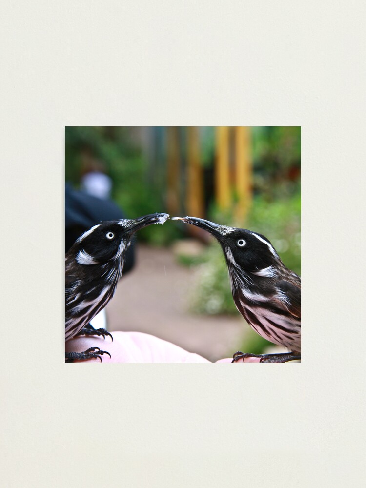 Alternate view of Give me a kiss Photographic Print