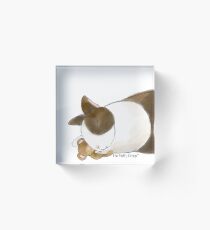 Bunny and Teddy Bear Acrylic Block