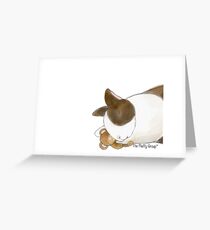 Bunny and Teddy Bear Greeting Card