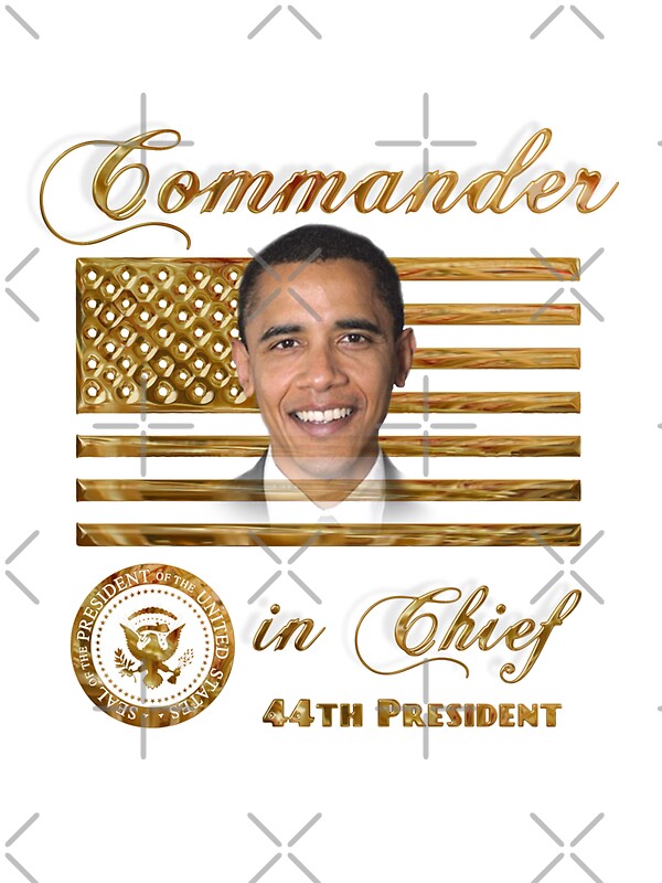 commander in chief president
