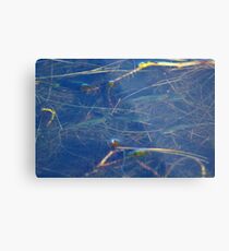 A Bit Fishy Metal Print