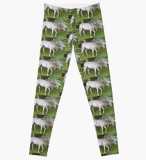 Wearing My Green Hat Today........ Leggings