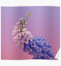 Flume - Skin Album Art Textless Poster