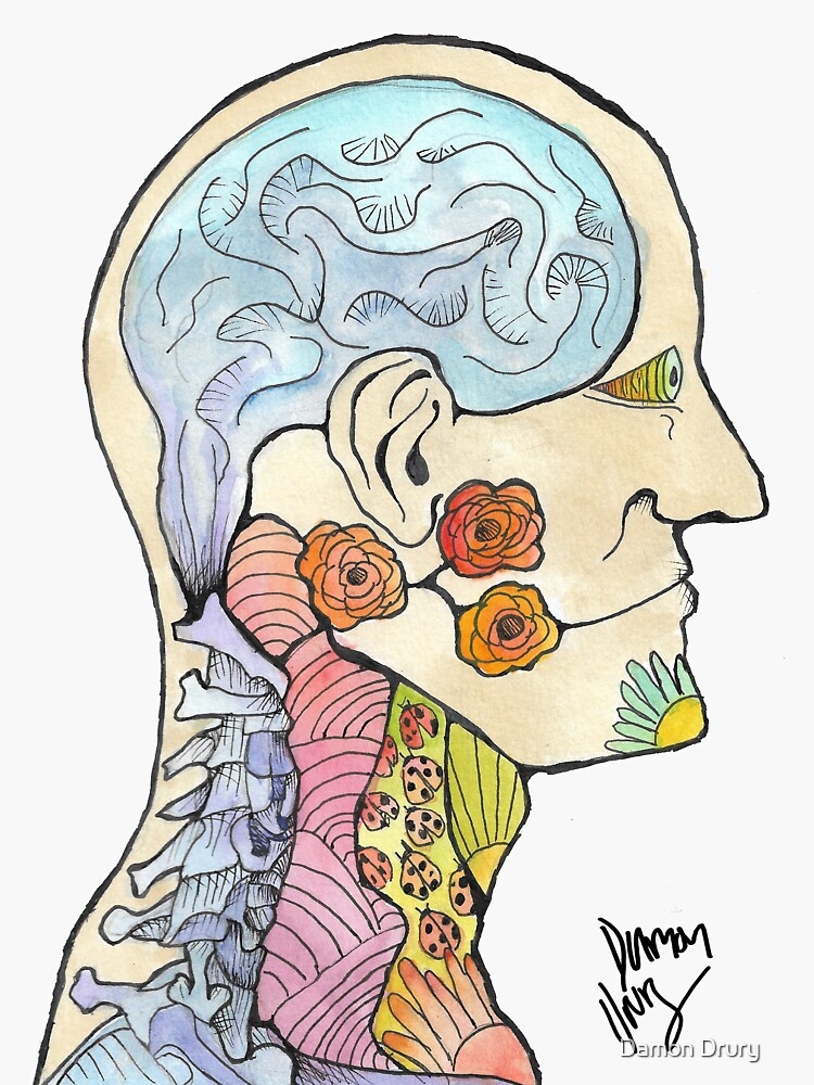 "Anatomy of The Human Mind" Sticker by DamonDruryArt | Redbubble