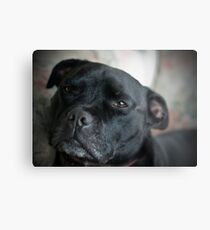 Loo Loo Metal Print