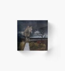 Cat walking the fence. Acrylic Block