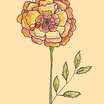 Line Marigold Flowers Stock Illustrations – 565 Line Marigold Flowers Stock  Illustrations, Vectors & Clipart - Dreamstime