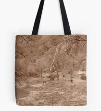 Powerscourt waterfall Tote Bag