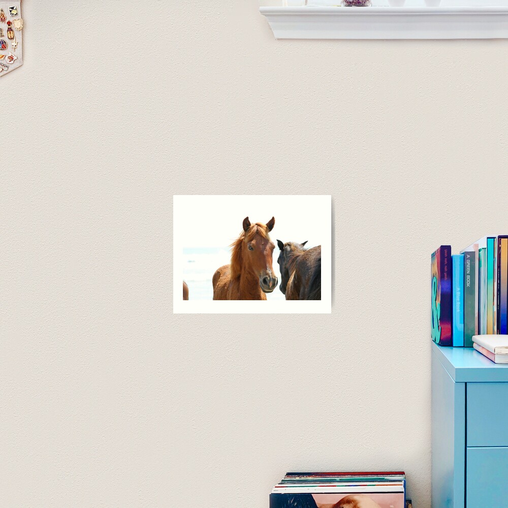 Wild Horses Art Print