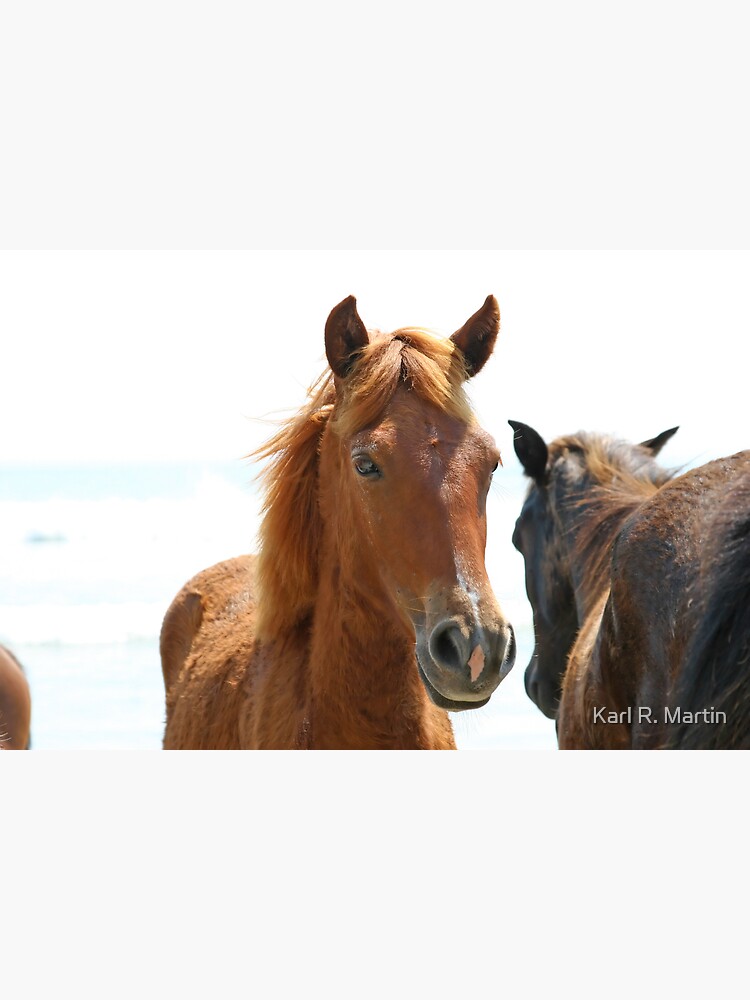 Wild Horses by SirEagle
