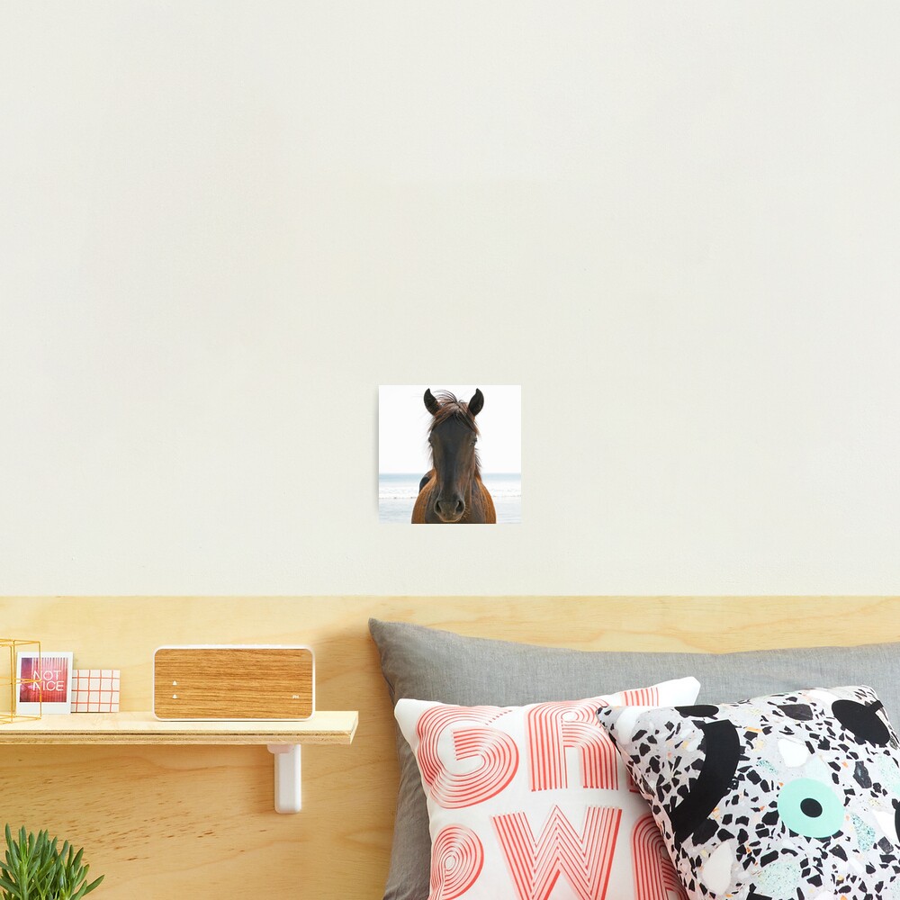 Wild Horse Photographic Print
