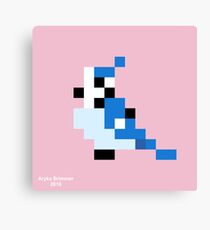 Blue Jay Canvas Print