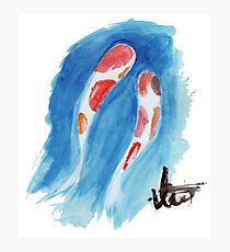 Slim Koi Photographic Print