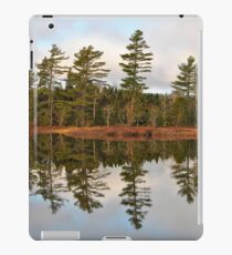 Autumn Reflector iPad Case/Skin