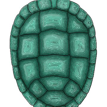 Turtle Shell Green | Sticker