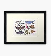 Animal Kingdom Framed Print