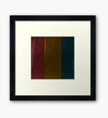 Tricolor Especial Framed Print