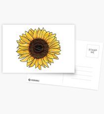 Sonnenblume Postkarten
