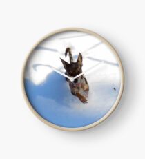Vixen In The Snow Clock