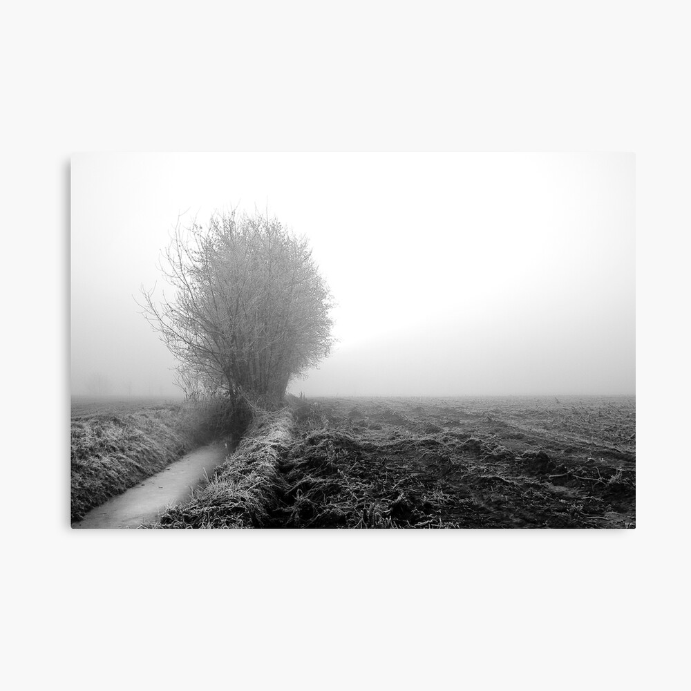 Misty ditch Canvas Print