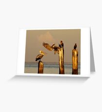 Pelican and Cormorant on the old Ice House Piers 2 Greeting Card