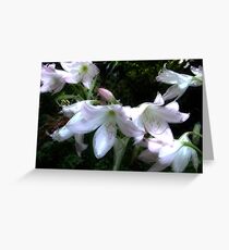 Flower 6 Greeting Card