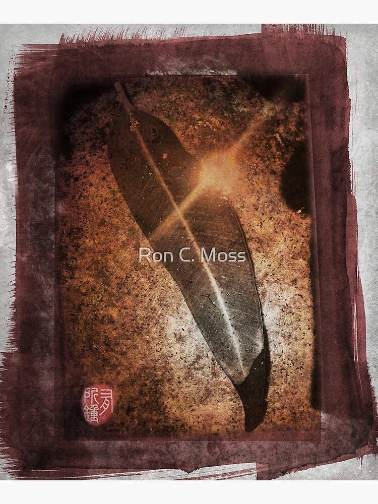 blood leaf dawn by ronmoss