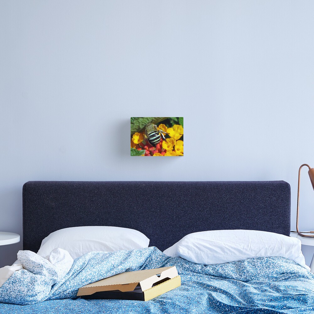 Does my bum look big in this?? Canvas Print