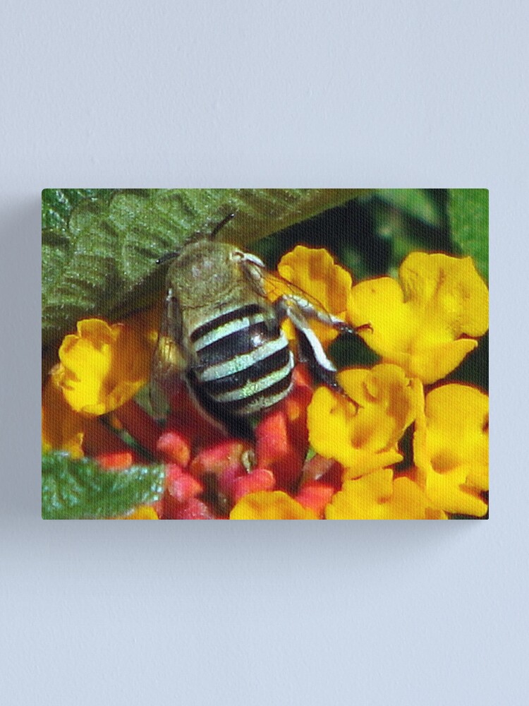 Alternate view of Does my bum look big in this?? Canvas Print