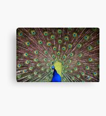 Impress Canvas Print
