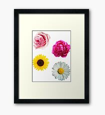 Flowers Set Framed Print