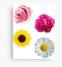 Flowers Set Canvas Print