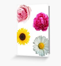 Flowers Set Greeting Card
