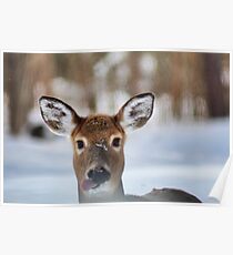Goofy Face Poster