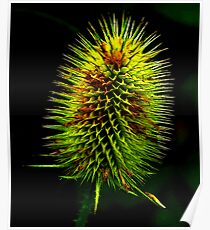 Fractalius Teasle Poster