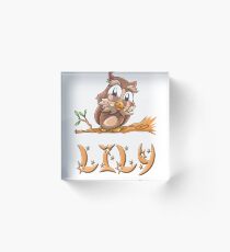 Lily Owl Acrylic Block