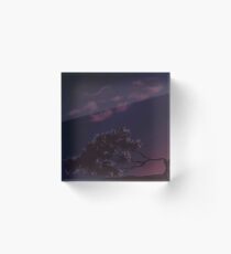 Reaching Acrylic Block