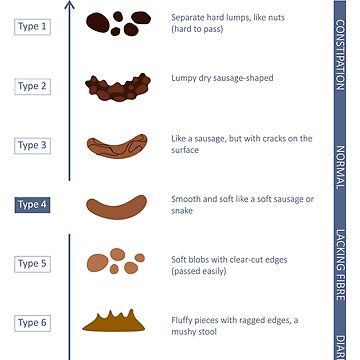 Bristol Stool Chart - Blue Poster for Sale by martina1988