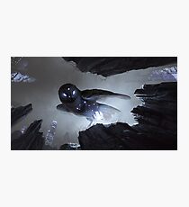 Noctua Photographic Print